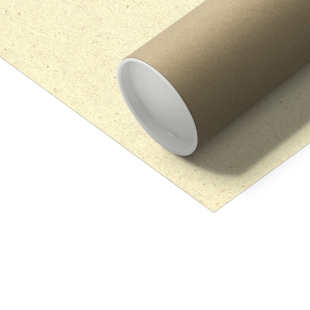 image5