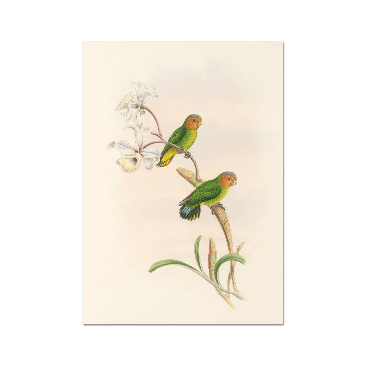 image3