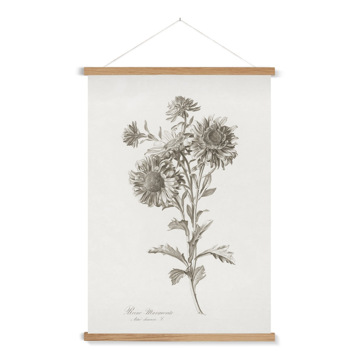A vintage study of flowers, with a wooden hanger included.
A premium print + slimline wooden poster hanger with a discrete magnetic fastening to keep your prints perfectly secure. Hand-crafted from beautiful, solid wood, our picture hangers are ideal for displaying prints using a simple, contemporary design. When you want to update your style, simply change the print.
The Vintage Flower Spray 1 print features shades of grey, and cream.
+ Free International Shipping.