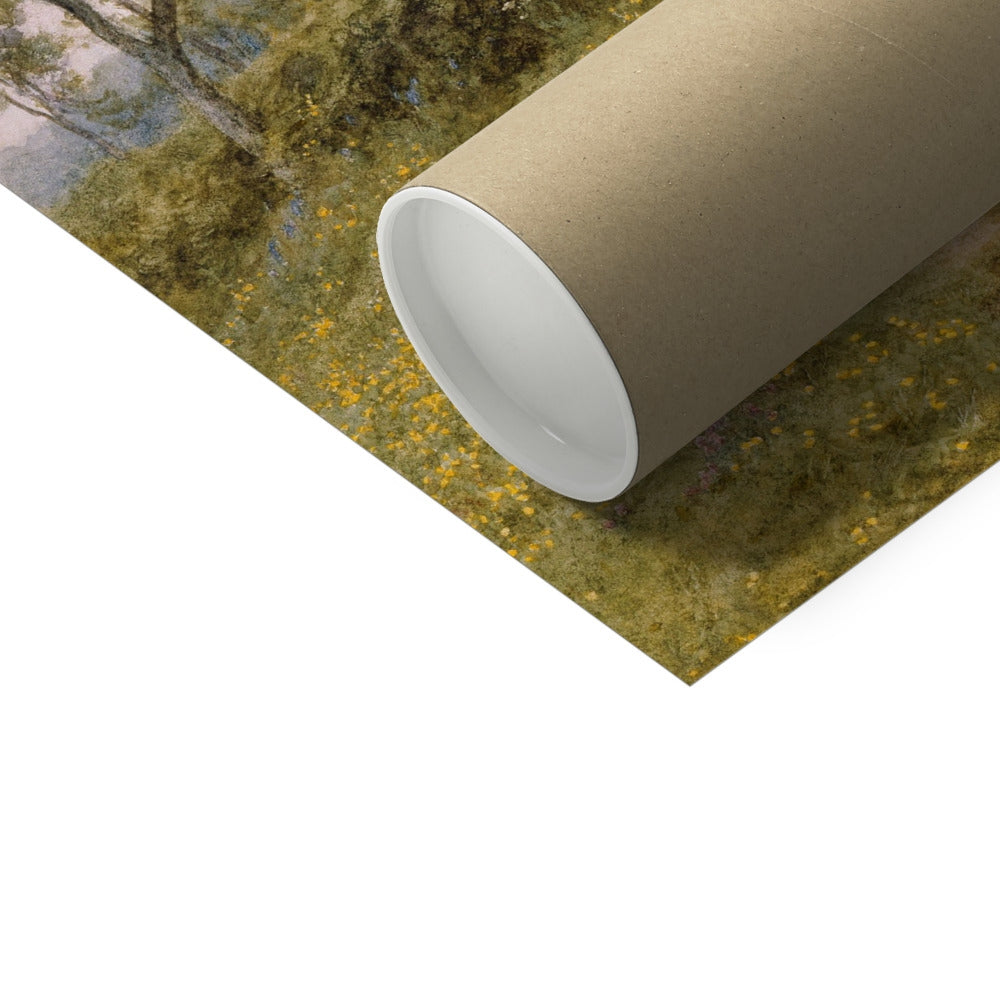 image5