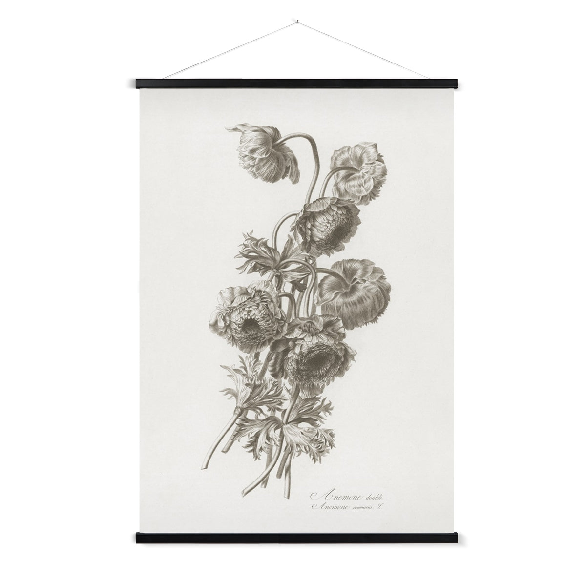 A vintage study of flowers, with a wooden hanger included.
A premium print + slimline wooden poster hanger with a discrete magnetic fastening to keep your prints perfectly secure. Hand-crafted from beautiful, solid wood, our picture hangers are ideal for displaying prints using a simple, contemporary design. When you want to update your style, simply change the print.
The Vintage Flower Spray 2 print features shades of grey, and cream.
+ Free International Shipping.