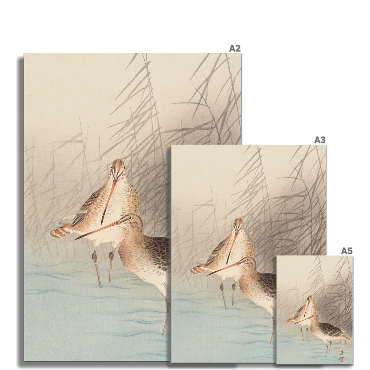 Japanese Birds 3