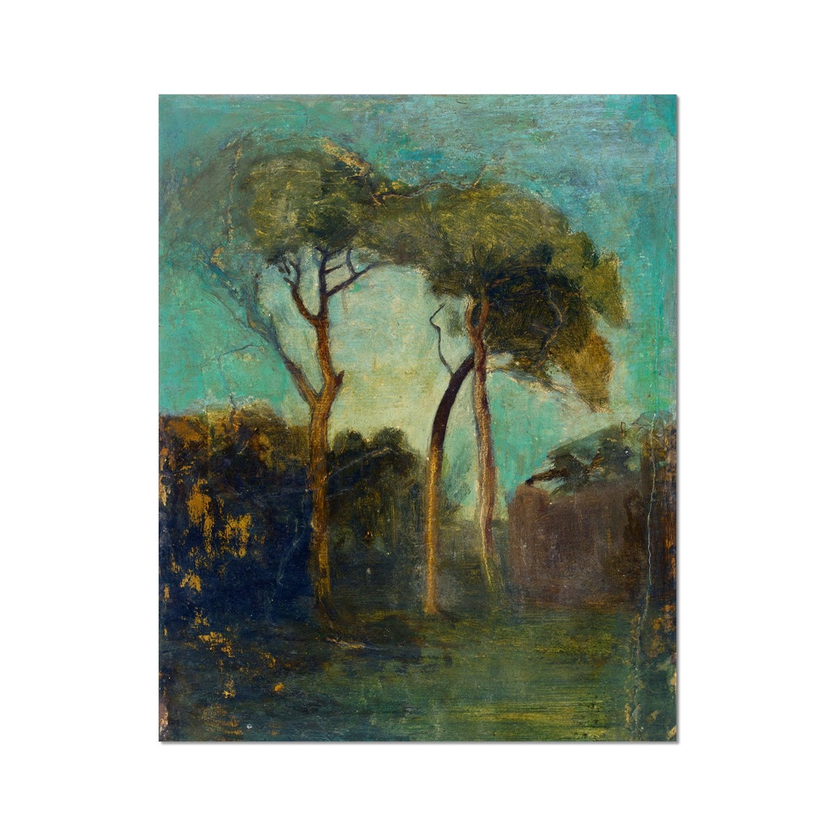 image5
