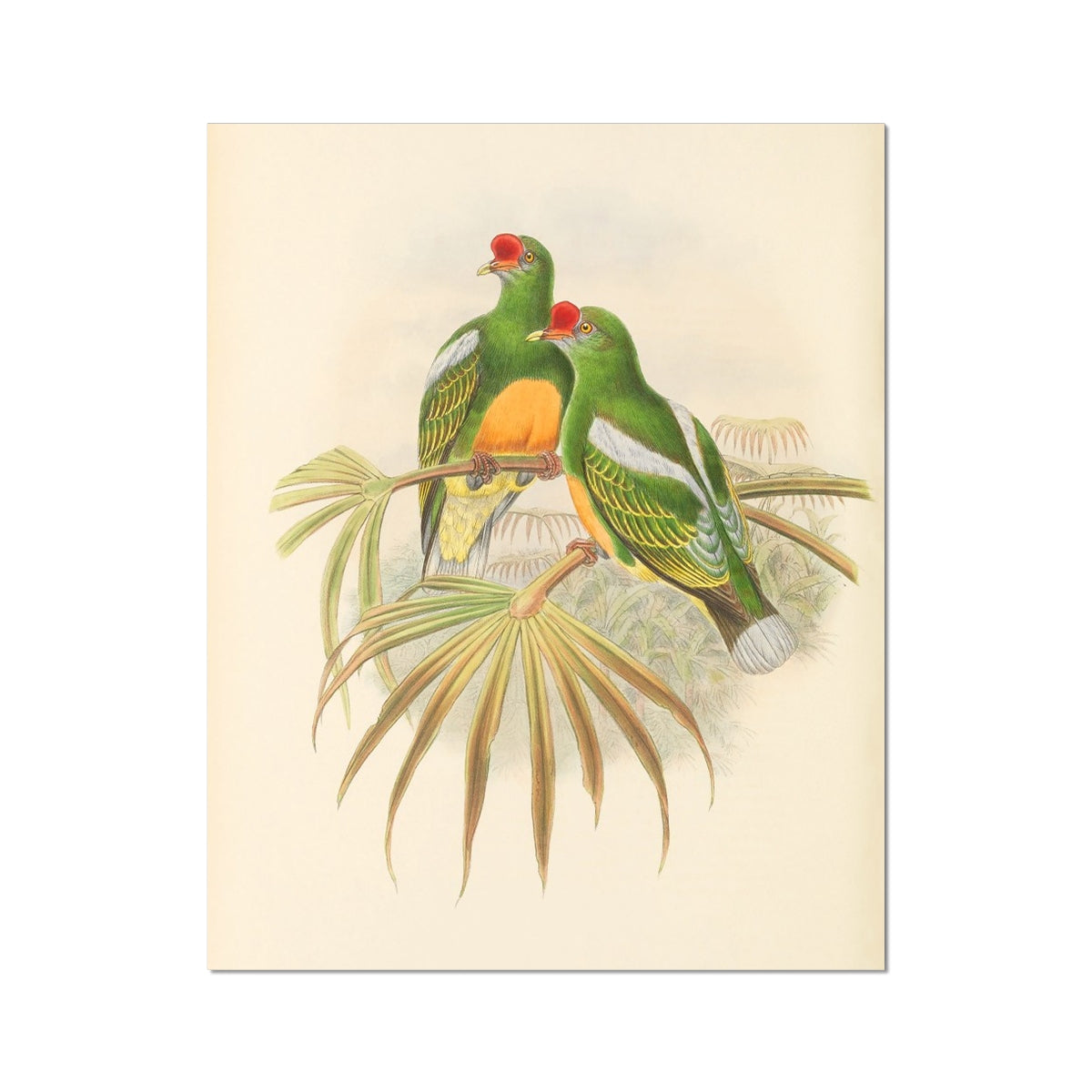 image5