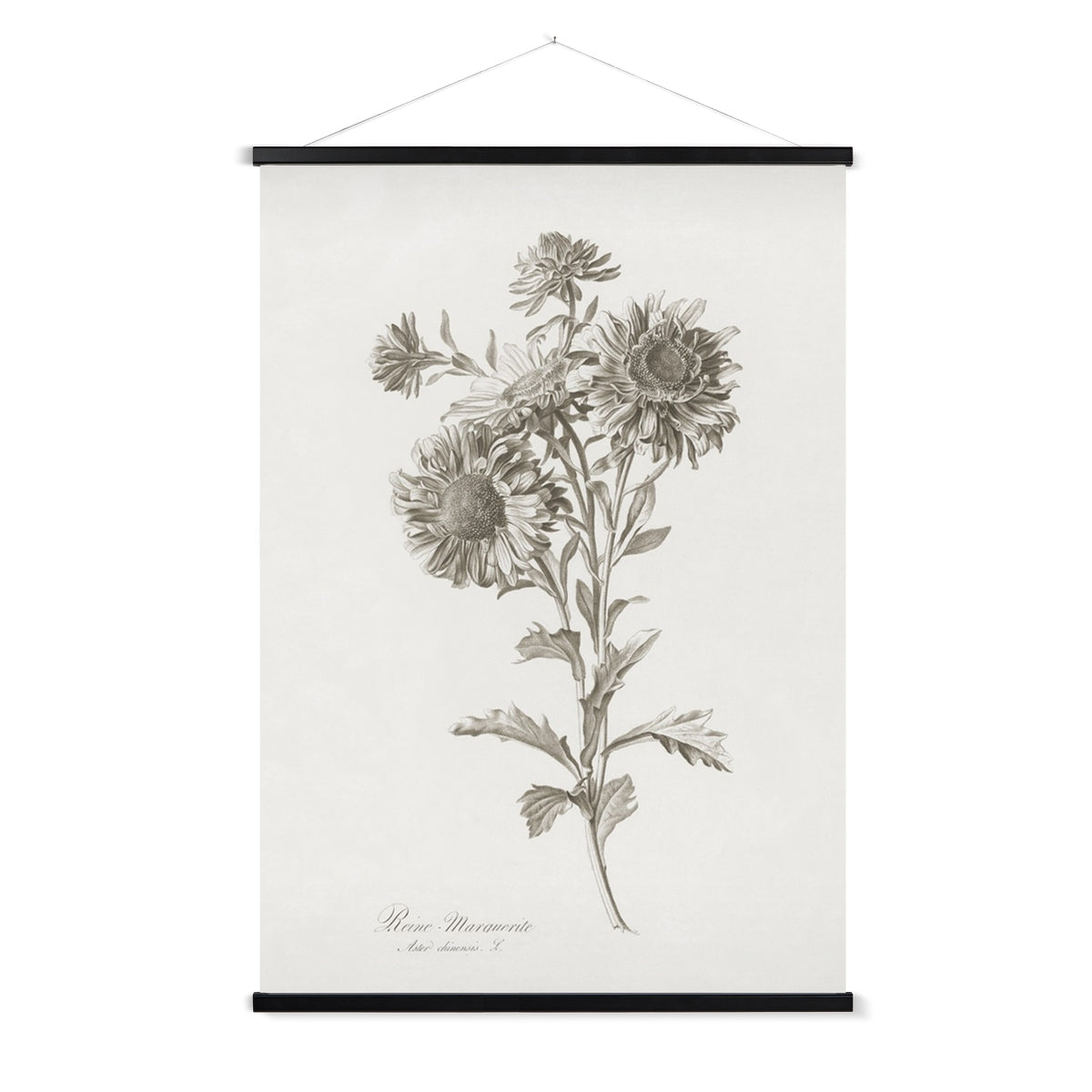 A vintage study of flowers, with a wooden hanger included.
A premium print + slimline wooden poster hanger with a discrete magnetic fastening to keep your prints perfectly secure. Hand-crafted from beautiful, solid wood, our picture hangers are ideal for displaying prints using a simple, contemporary design. When you want to update your style, simply change the print.
The Vintage Flower Spray 1 print features shades of grey, and cream.
+ Free International Shipping.