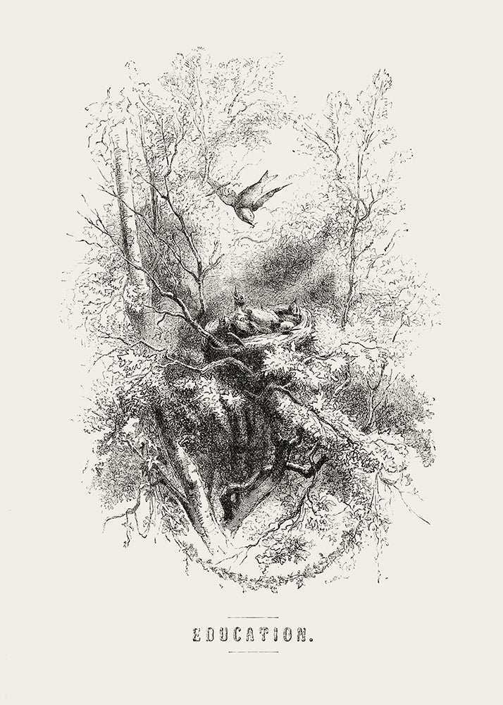 A whimsical lithograph of a bird feeding its babies. Part of a series of prints.
Featuring black and vintage cream.
A museum-quality fine art print with a lightly textured, matt finish, using giclée printing techniques that won't fade.