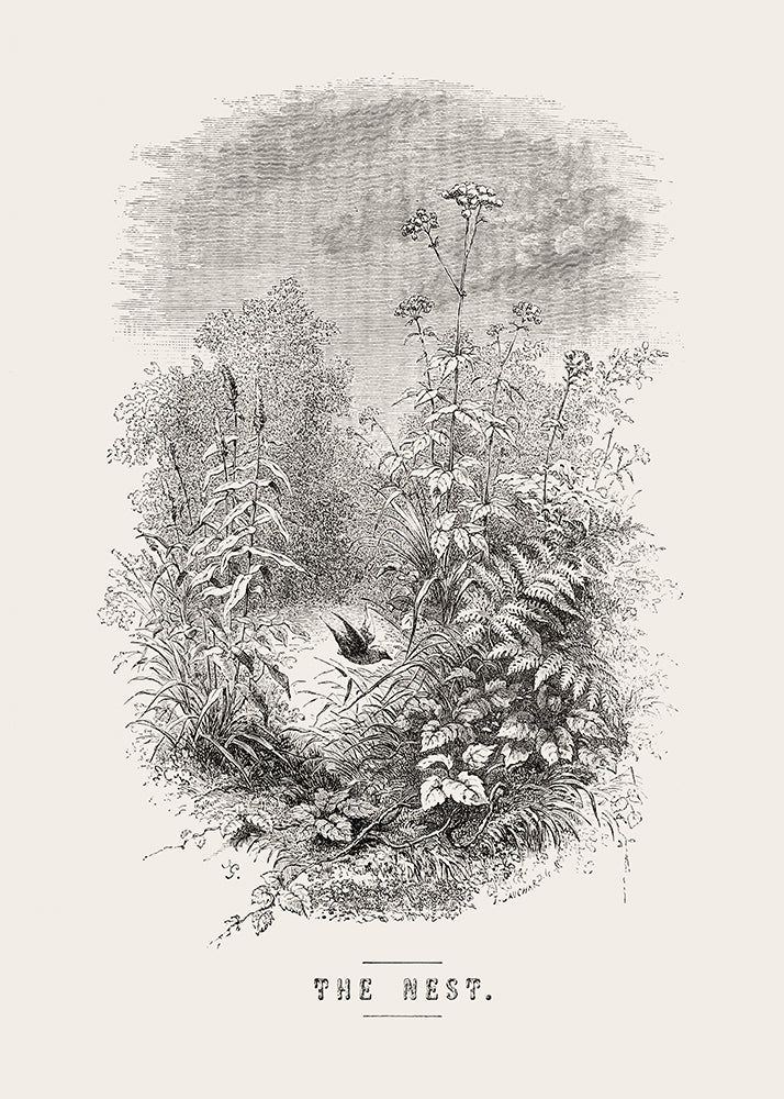 The Nest