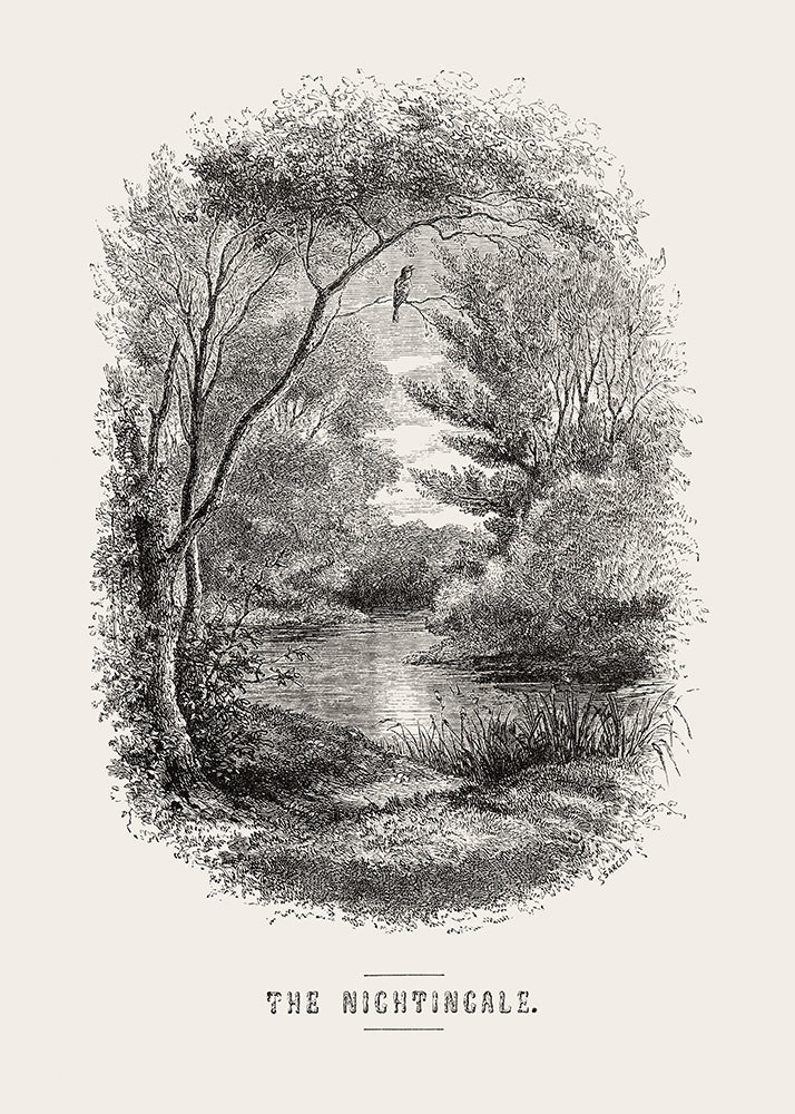 The Nightingale