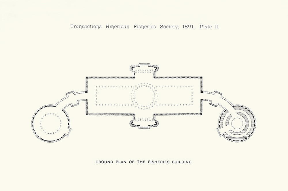 American Fisheries 2