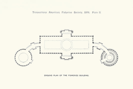 American Fisheries 2