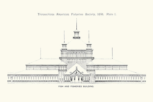 American Fisheries 1