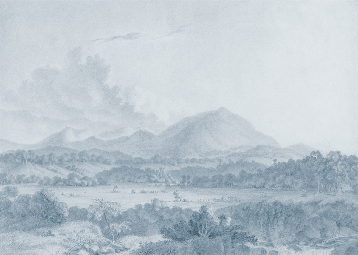 Ash Mountain – Blue