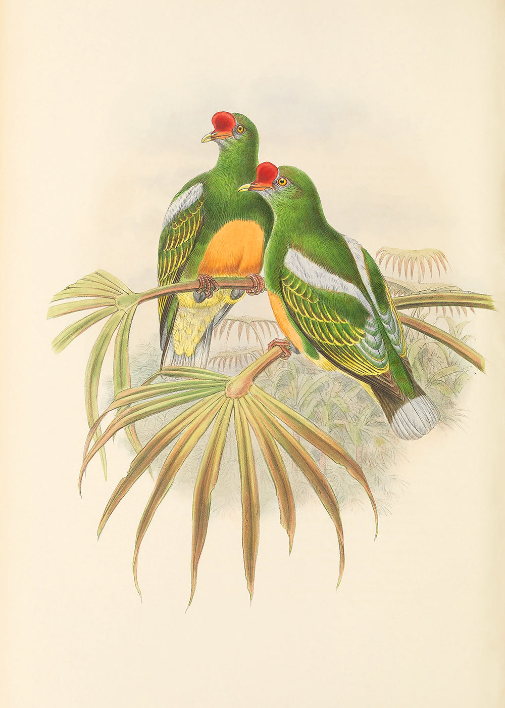 Green Bird 4