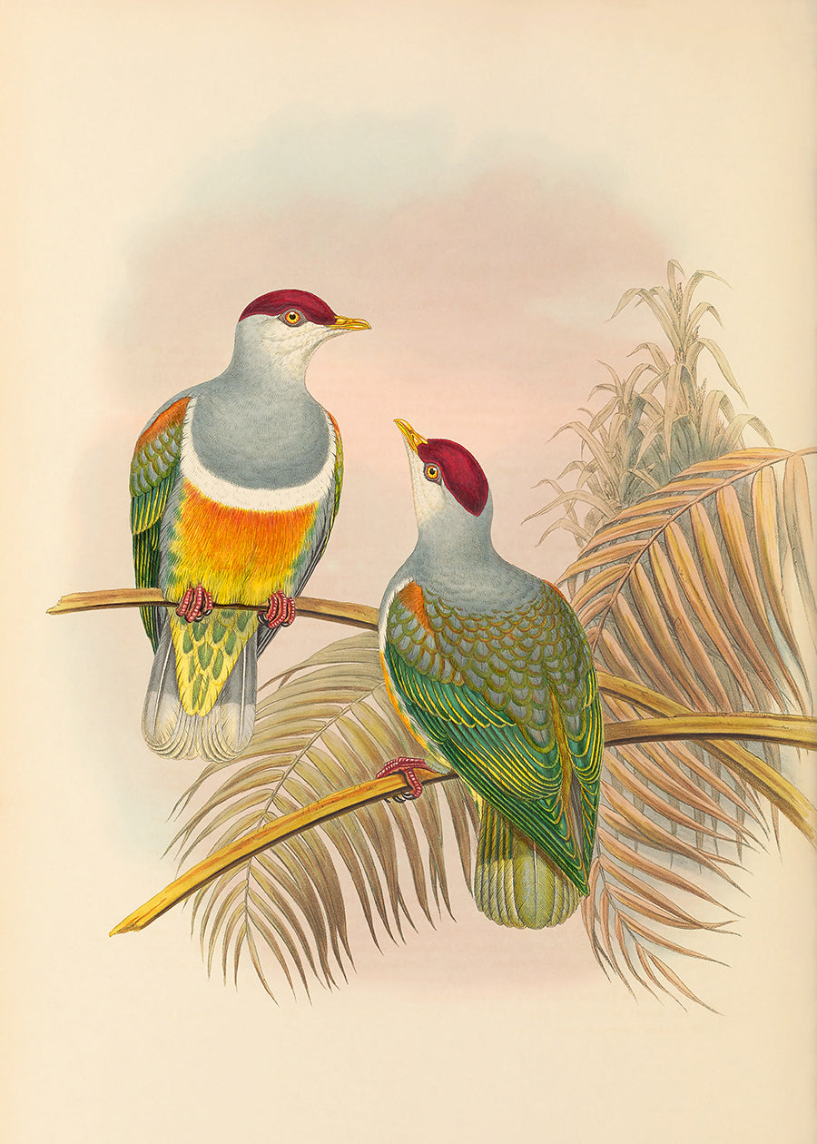 Green Bird 5