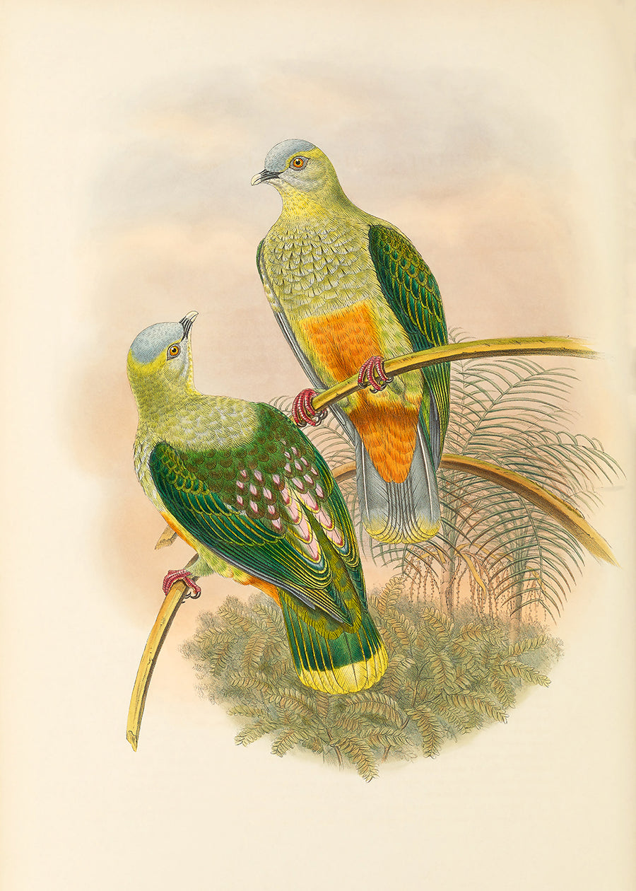 Green Bird 6