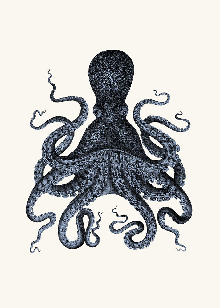 Blue Octopus 2
