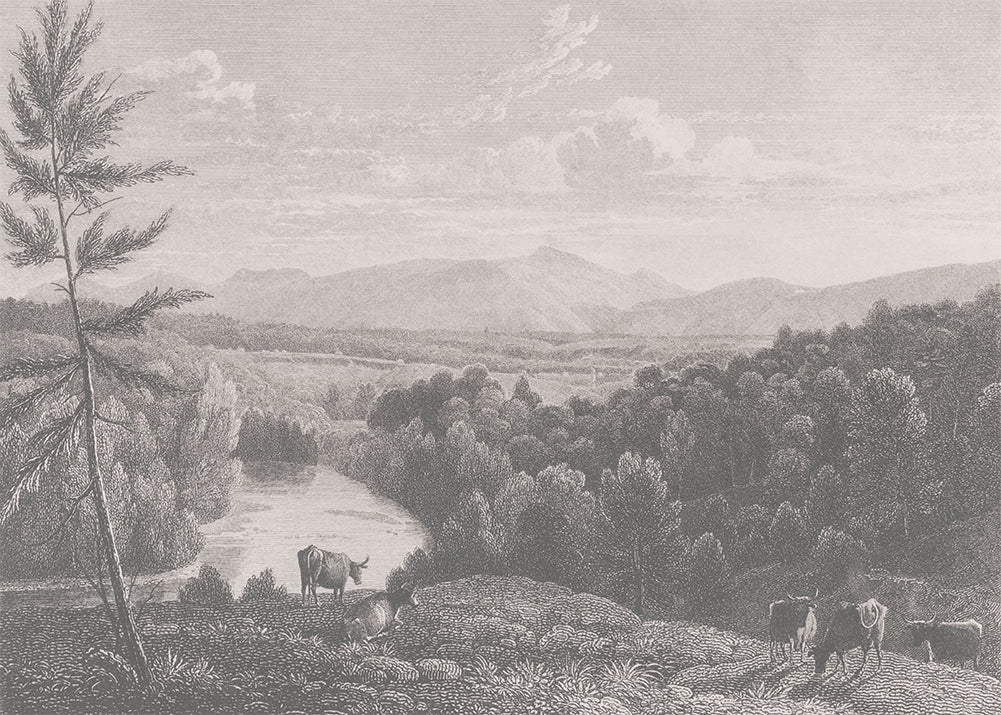 Step into the captivating world of the Catskill Mountains with this must-have vintage mural. The foreground features grazing livestock, while the river and surrounding forest provide a beautiful backdrop to the Mountains. Available in 3 colour ways.
Featuring shades of soft grey.
Available in 'Premium Peel and Stick' or 'Paste the Wall' finishes.