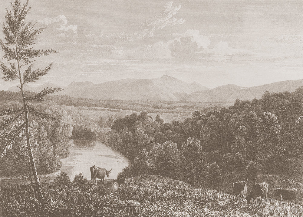 Step into the captivating world of the Catskill Mountains with this must-have vintage mural. The foreground features grazing livestock, while the river and surrounding forest provide a beautiful backdrop to the Mountains. Available in 3 colour ways.
Featuring shades of soft caramel and brown.
Available in 'Premium Peel and Stick' or 'Paste the Wall' finishes.