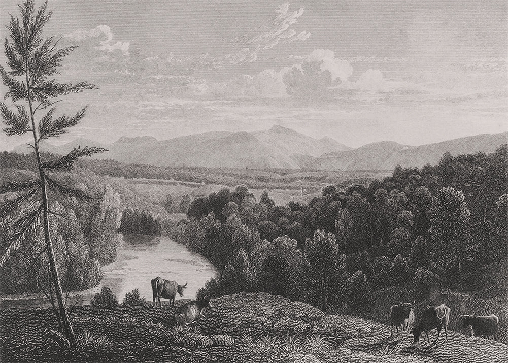 Step into the captivating world of the Catskill Mountains with this must-have vintage mural. The foreground features grazing livestock, while the river and surrounding forest provide a beautiful backdrop to the Mountains. Available in 3 colour ways.
Featuring shades of grey.