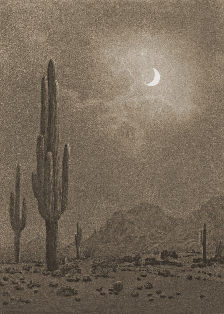 Dusty Desert Moon