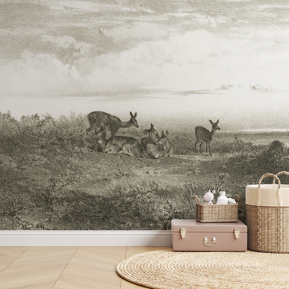 Deer – Neutral