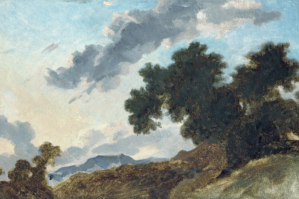 Muted Sky Scape