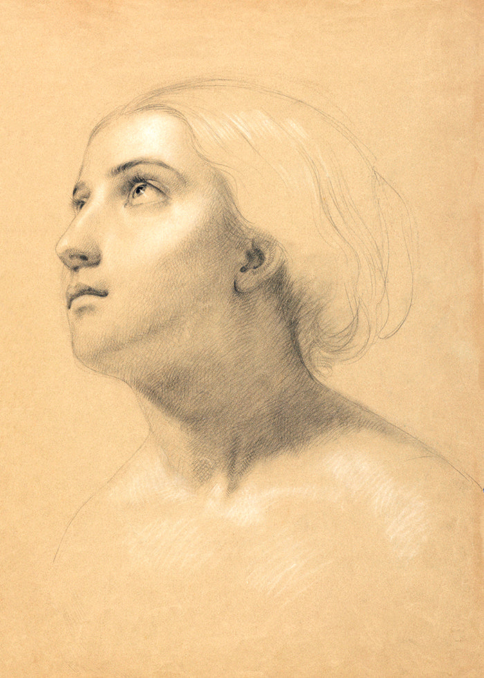 A beautiful romantic sketch of a young lady.
Featuring grey, black and white on a rich creamy caramel background.
A museum-quality fine art print with a lightly textured, matt finish, using giclée printing techniques that won't fade.