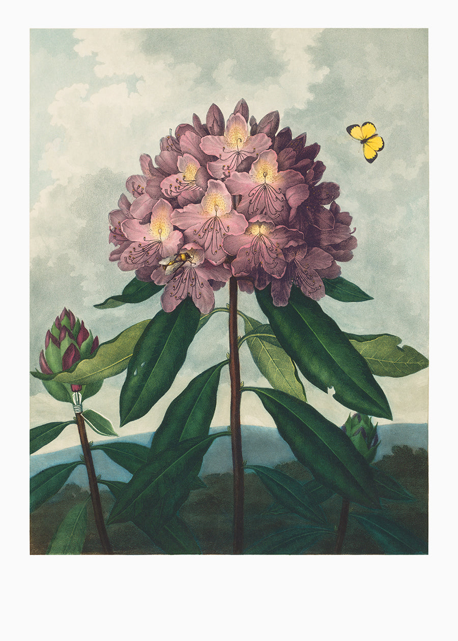 Vintage Flowers 1