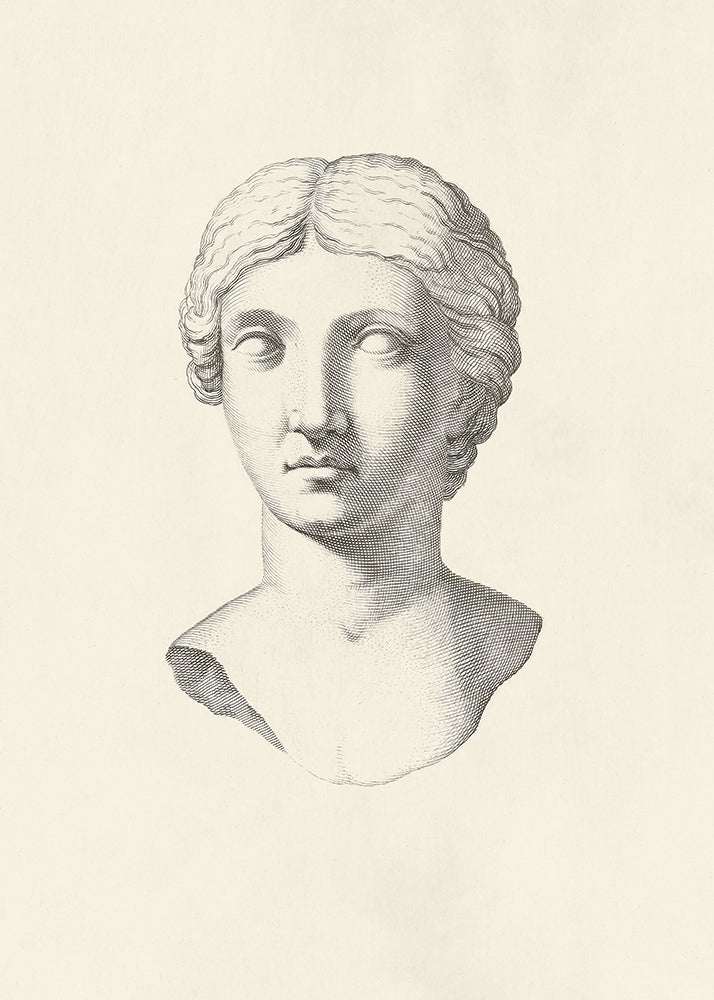 A classic lithograph featuring a sculpted bust, a regal marble portrait.
Featuring vintage cream and black.
A museum-quality fine art print with a textured, matt finish, using giclée printing techniques that won't fade.