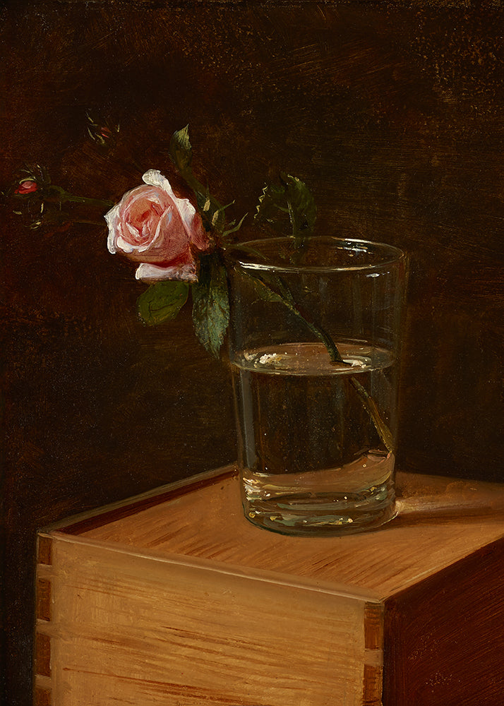 Single Rose