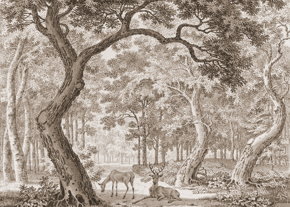 Add wonder and whimsy with this magical watercolour mural featuring a serene forest scene of a stag and its partner. Available in 4 colour ways.
Featuring warm shades of caramel, sepia and chocolate brown.
Available in 'Premium Peel and Stick' or 'Paste the Wall' finishes.
QUALITY ASSURANCE: A digital mock-up of your mural will be sent via email in your chosen measurements for your approval before printing and shipping. This guarantees your order will be exactly to your liking.