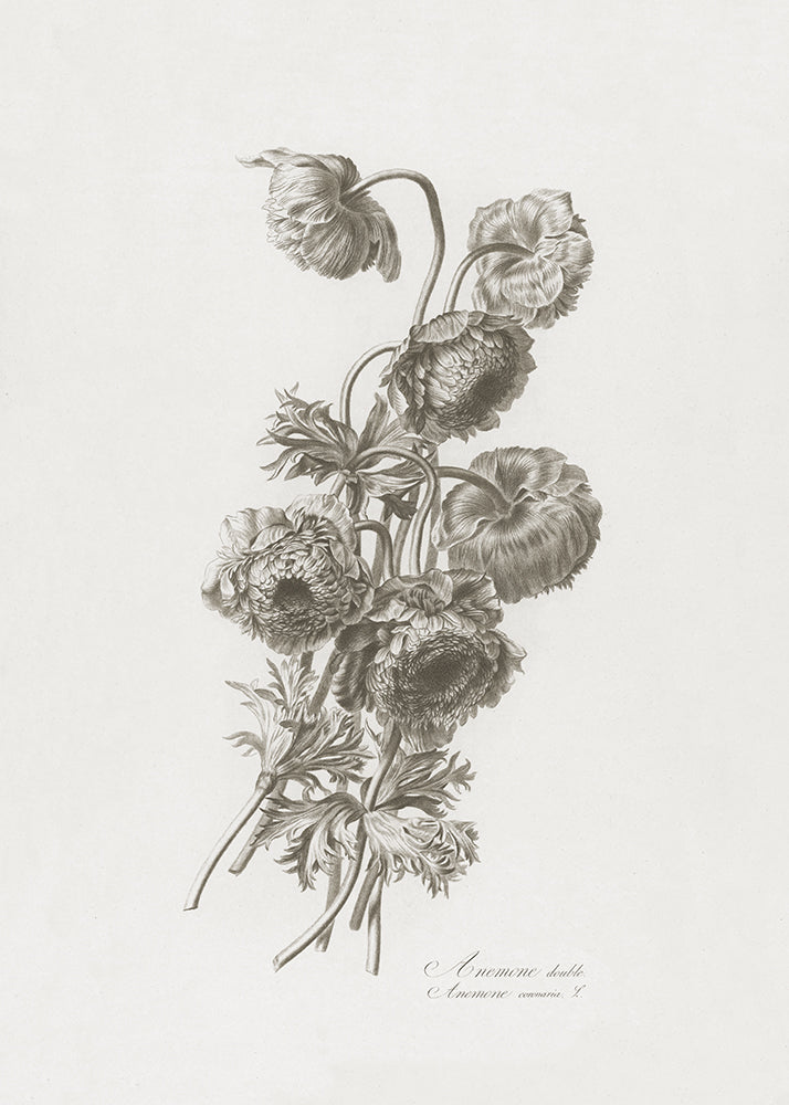 Vintage Flower Spray 3