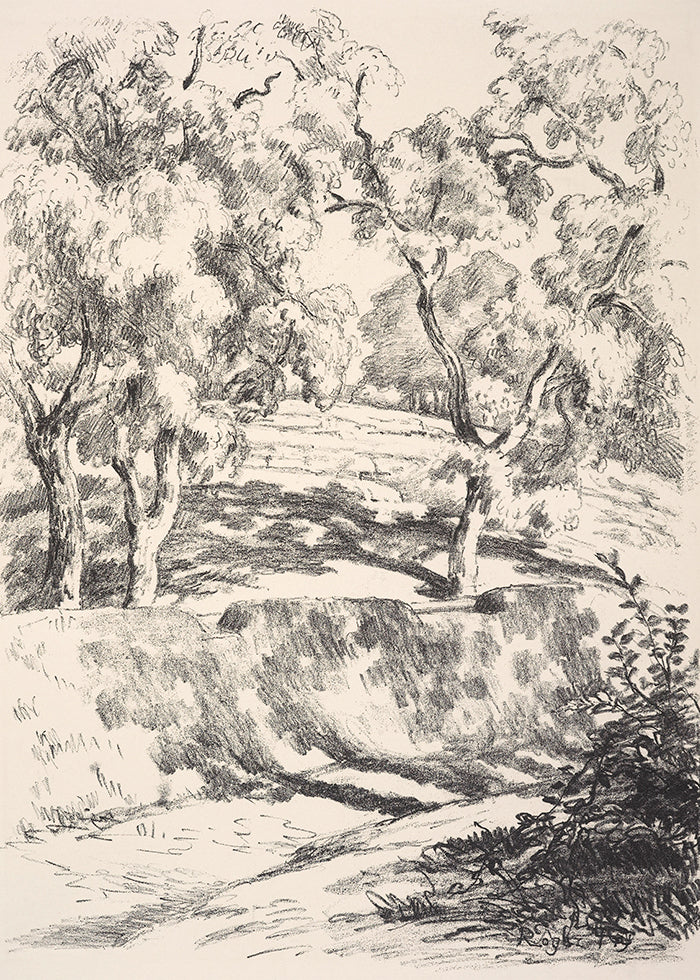 Vintage Trees