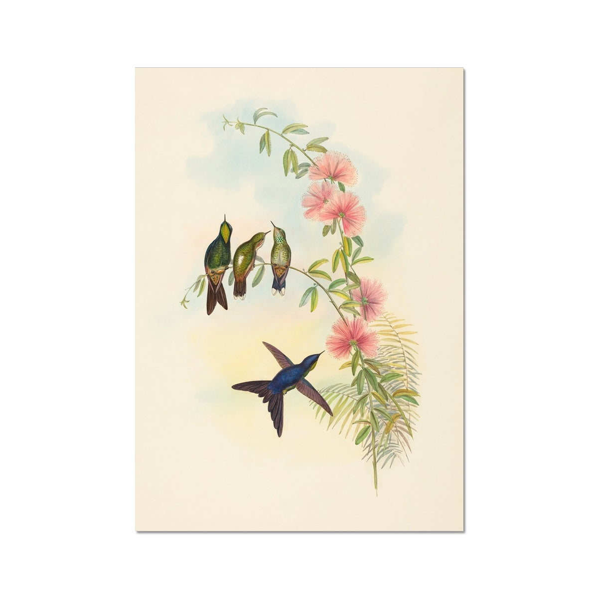 image3