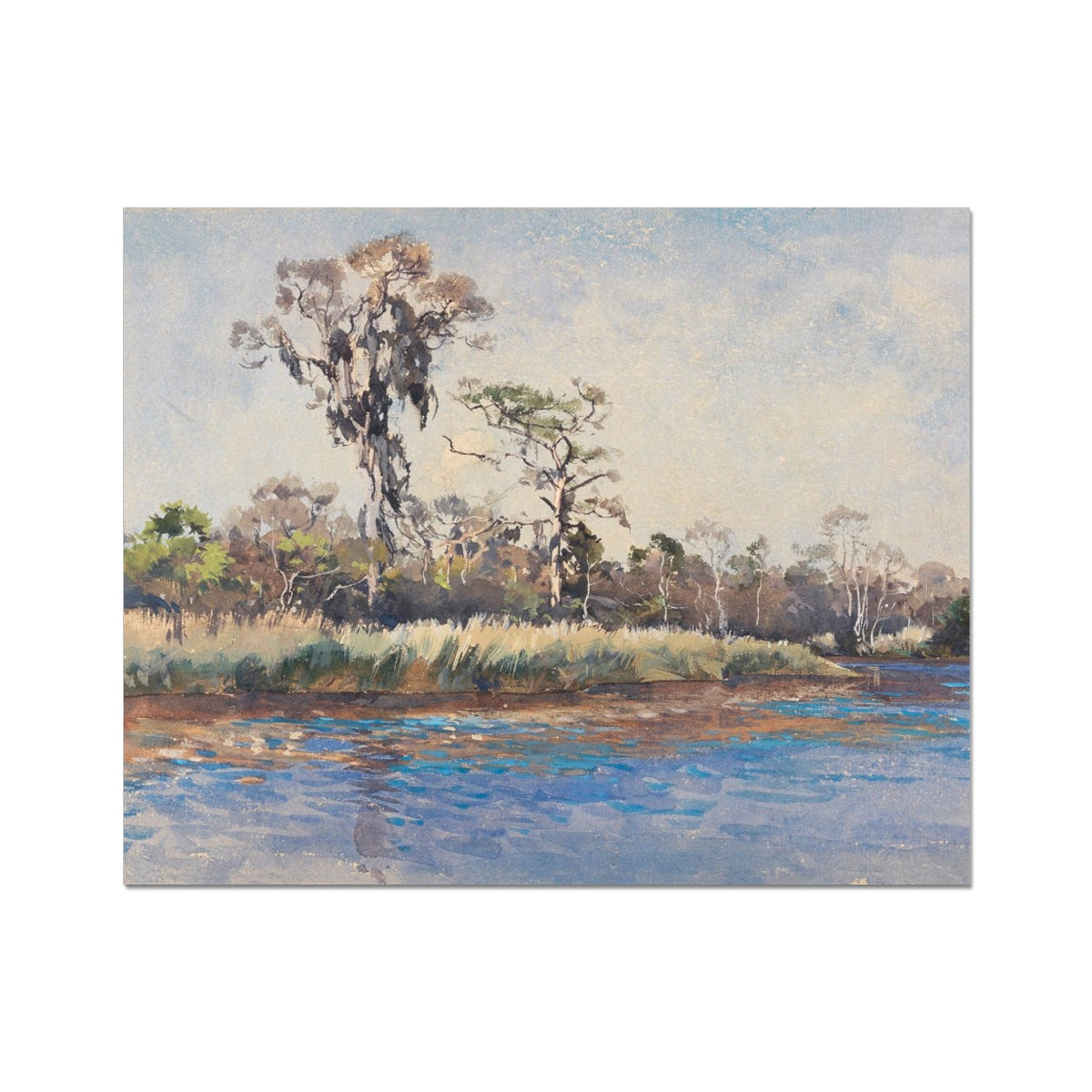 image5