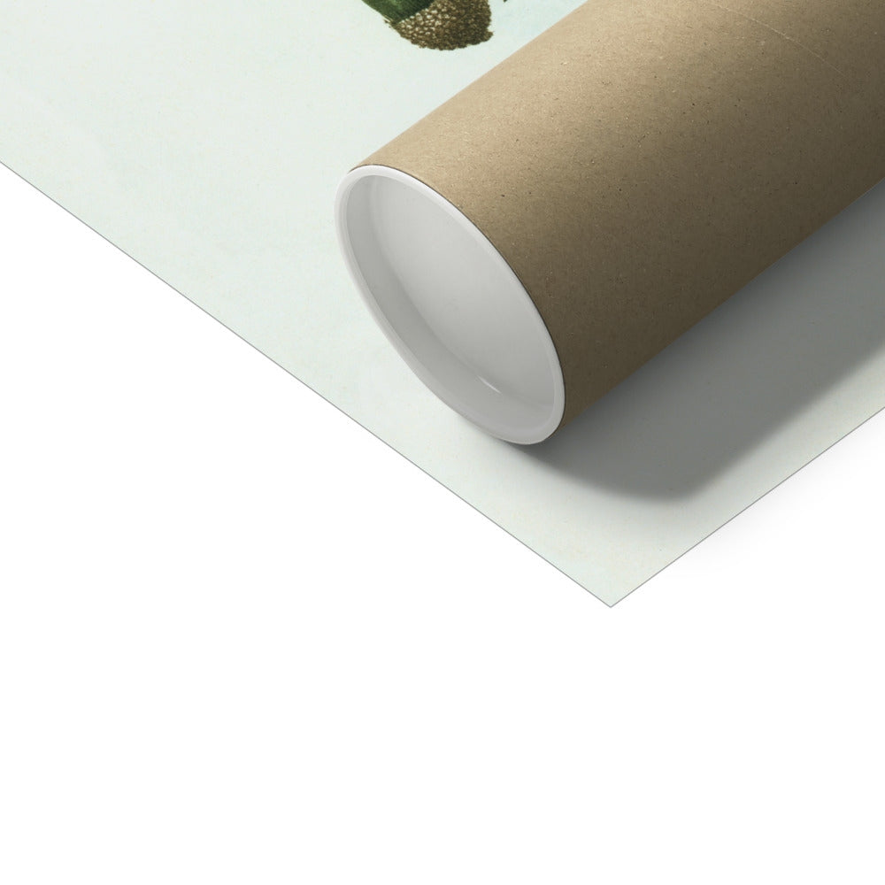 image5