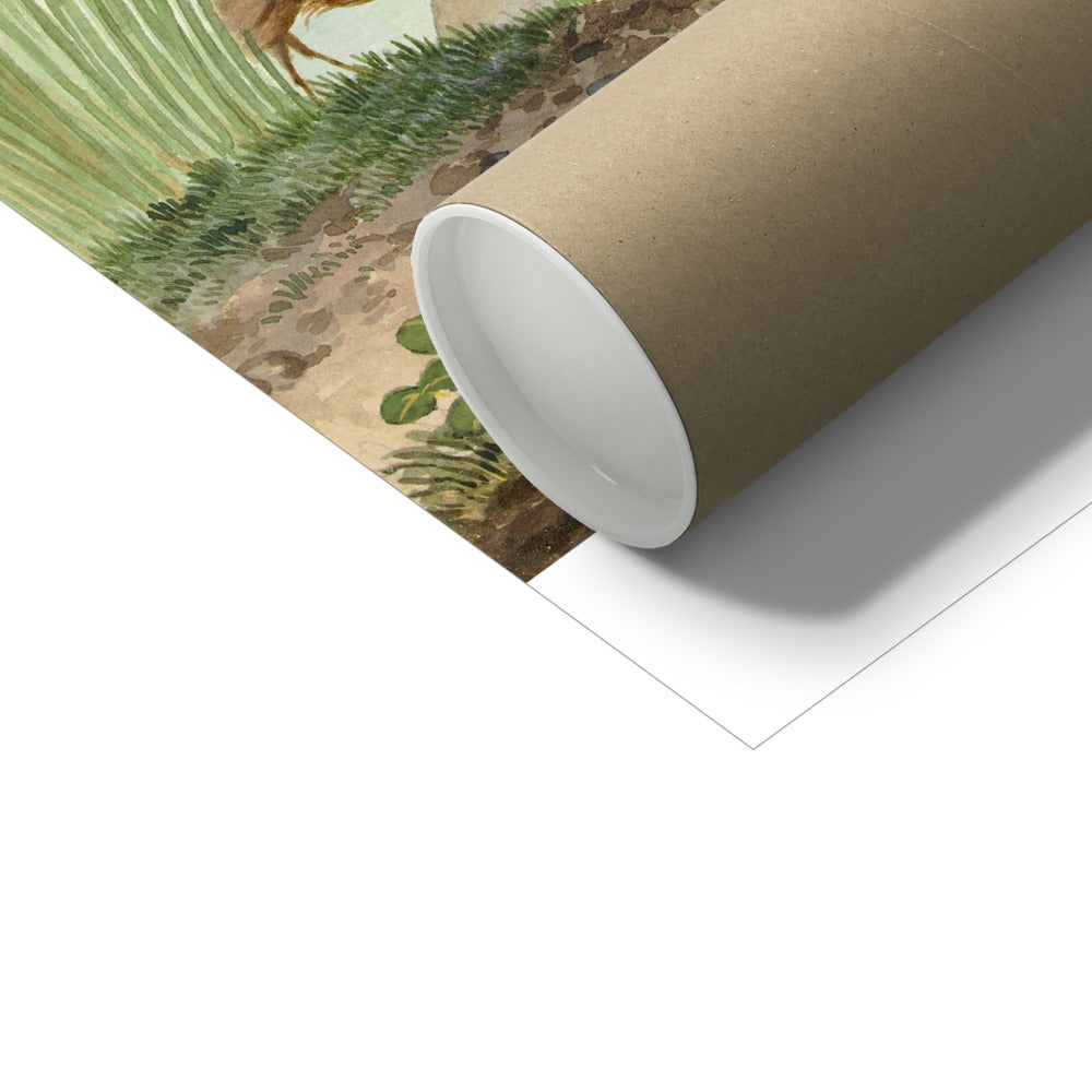 image5
