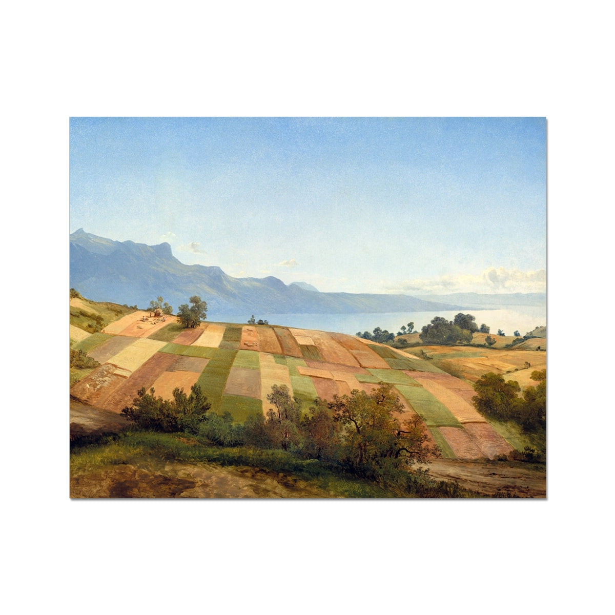 image5