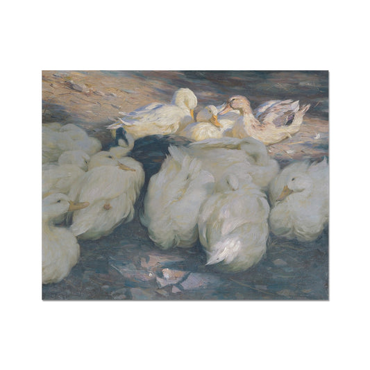 image5