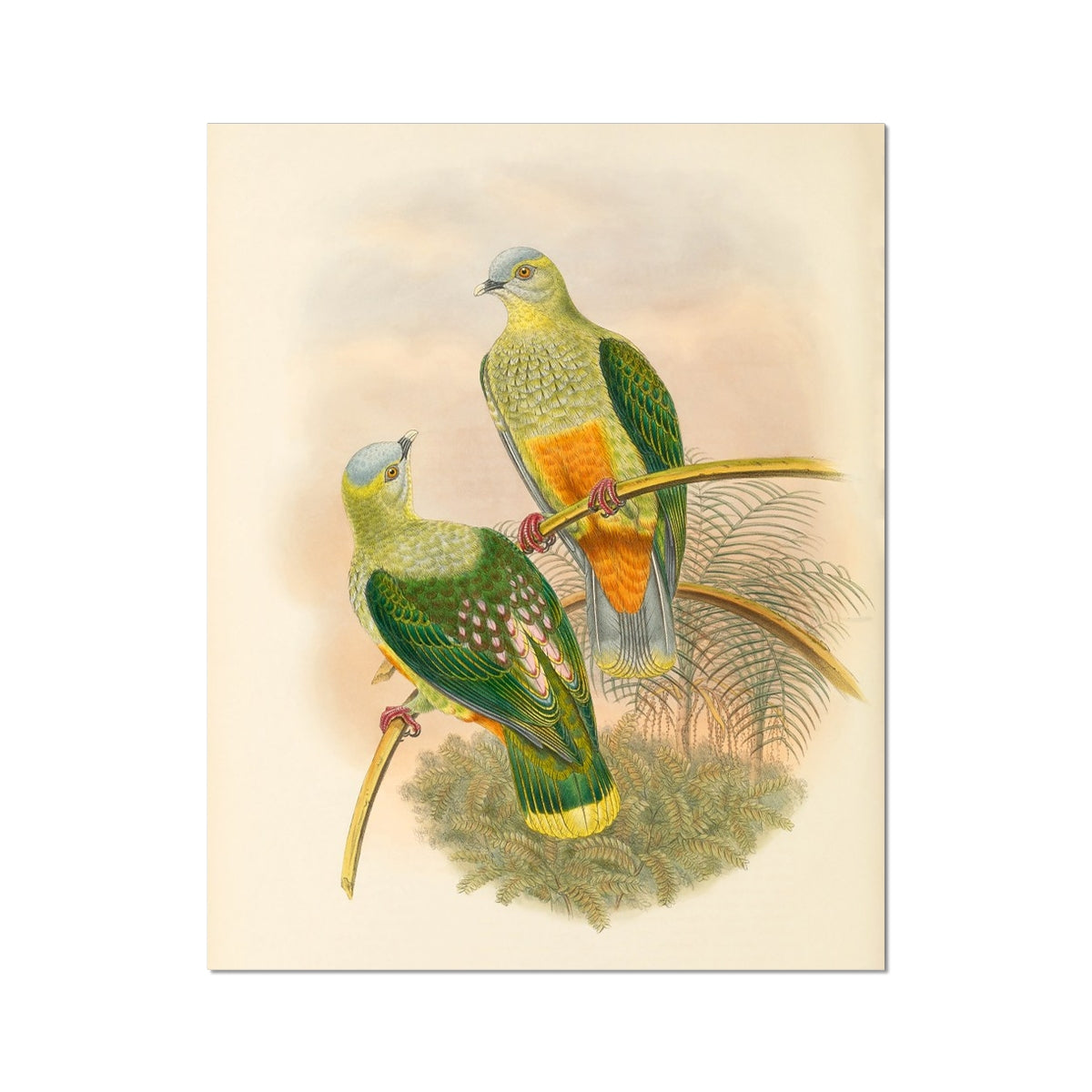 image5