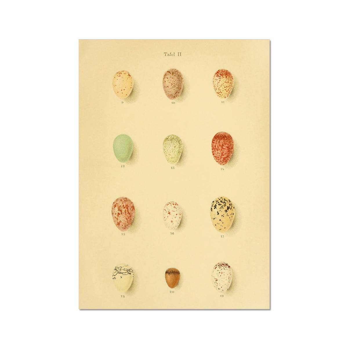 image3