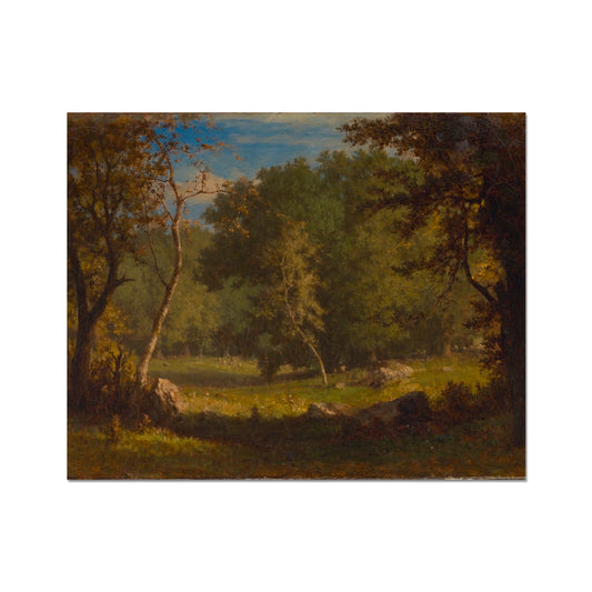 image5