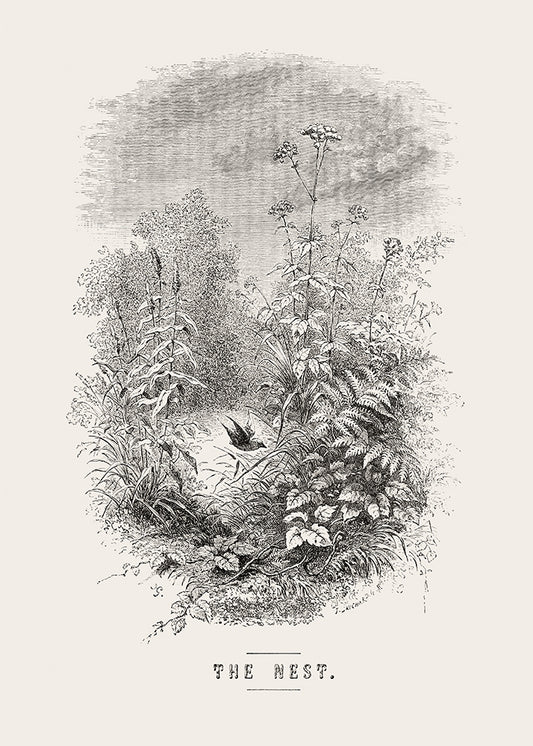 The Nest