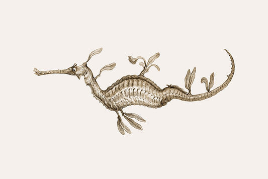 Sea Horse Flipped