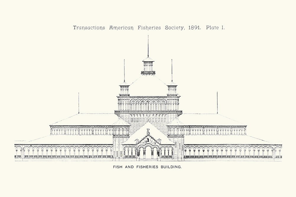 American Fisheries 1