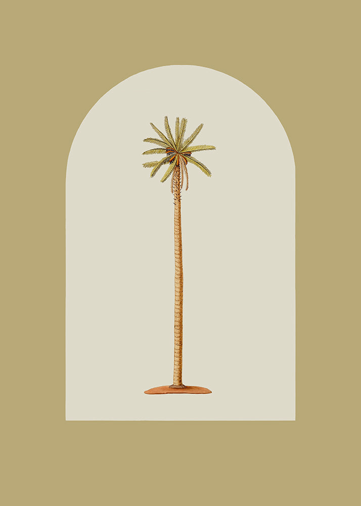 Skinny Palms 1