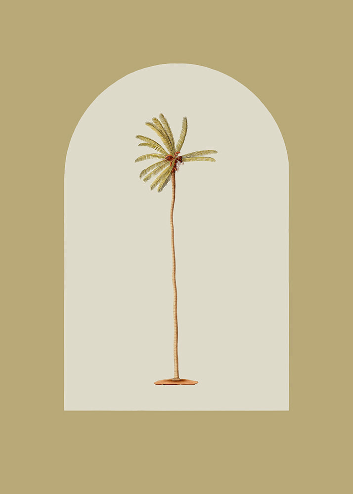 Bring effortless tropical charm into your space with this striking vintage palm, framed by a olive green arch. Perfect for those seeking to infuse their modern aesthetic with character and warmth. Part of a series.

Featuring beige, tan, brown, olive green and rust.
A museum-quality fine art print with a textured, matt finish, using giclée printing techniques that won't fade.
