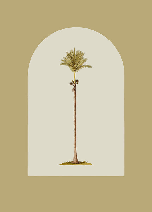 Skinny Palms 3