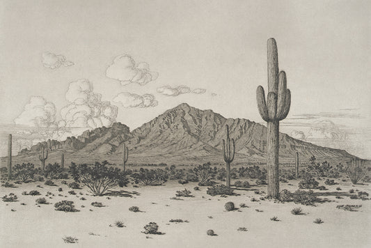 A charming etching of Camel Back Mountain, surrounded by cacti in Arizona. We think this print would look fabulous in a boys room, or wherever it pleases you to place it.

Featuring warm grey, ivory and charcoal.
A museum-quality fine art print with a lightly textured, matt finish, using giclée printing techniques that won't fade.
Artist: George Burr