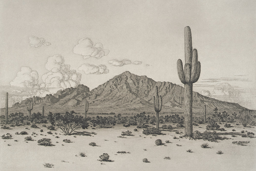 A charming etching of Camel Back Mountain, surrounded by cacti in Arizona. We think this print would look fabulous in a boys room, or wherever it pleases you to place it.

Featuring warm grey, ivory and charcoal.
A museum-quality fine art print with a lightly textured, matt finish, using giclée printing techniques that won't fade.
Artist: George Burr